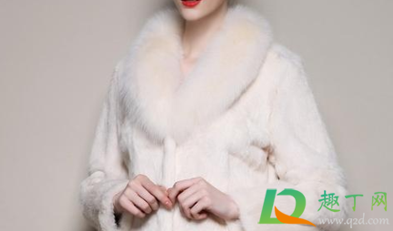 兔毛衣服总是掉毛应该怎么办(兔毛衣掉毛怎么办?) 兔毛衣服总是掉毛应该怎么办(兔毛衣掉毛怎么办?)