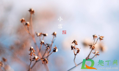 2020节气小雪冷不冷(2020年小雪气温) 2020节气小雪冷不冷(2020年小雪气温)