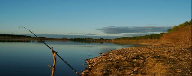 冬天钓鱼什么作钓(冬天有什么鱼钓)
