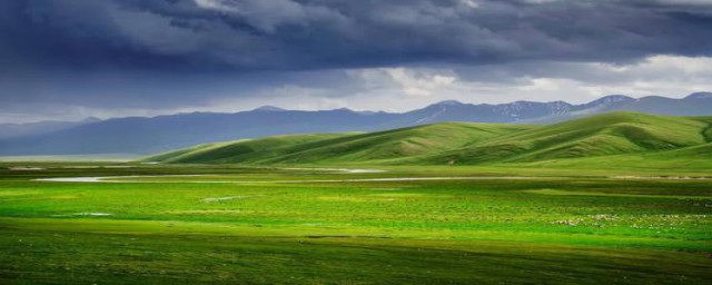 草原的诗句有什么(有什么关于草原的诗句)