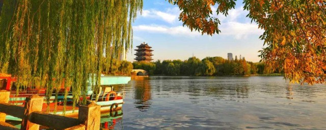 描写秋天的诗句(描写秋天的诗句五言诗)