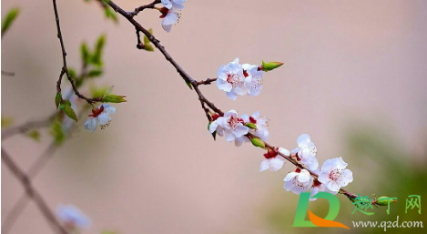 2022立春是农历几月几日(2022年立春是几月几号) 2022立春是农历几月几日(2022年立春是几月几号)