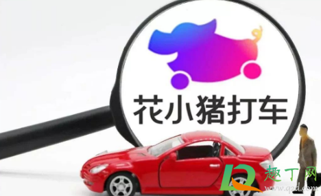 花小猪是按照成交率派单吗(花小猪关于成交率考试答案)