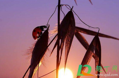 说说心情短语人生感悟2021(说说心情短语人生感悟2021年6月21日)