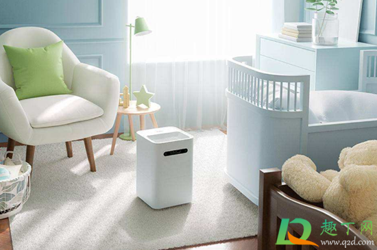 加湿器可以对着植物吹吗(加湿器可以一直对着人吹)