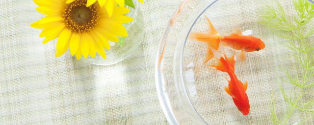 来这里看一下权威的说法(这个说法是正确的)