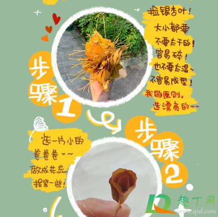 银杏玫瑰花怎么做(银杏玫瑰花束怎么做) 银杏玫瑰花怎么做(银杏玫瑰花束怎么做)