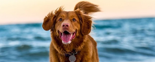 3个处理方法告诉你(最简单的处理方法)