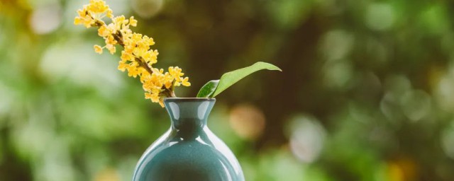 说话技巧训练(说话技巧训练 一开口人就喜欢你的书)