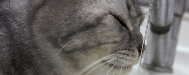 主要有三个原因(主要有三个原因英语翻译)