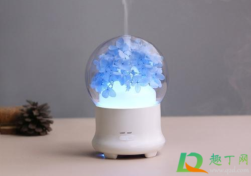 加湿器要边充电边加湿吗(加湿器可以边插电边使用吗)