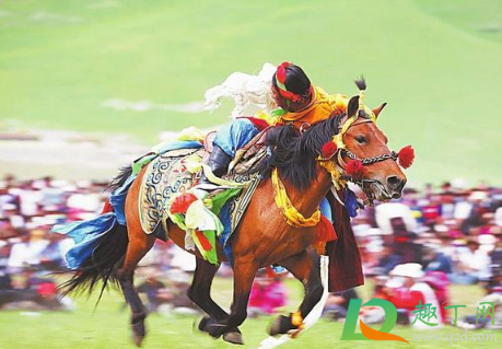 康巴汉子是指哪个地区的男人(康巴汉子是什么族)