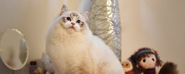 原本看来只会卖萌的它形象竟然这么高大(可以卖萌吗)