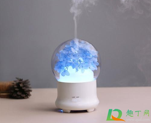 加湿器不能放在什么地方(加湿器里可以放东西吗)