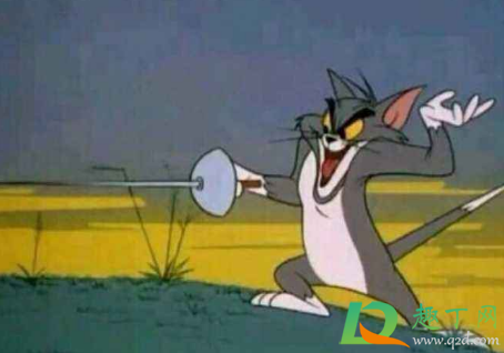 击剑什么梗(速来击剑什么梗)