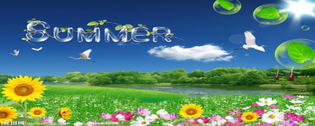 夏天的成语有什么(夏天的成语有什么百度一下)