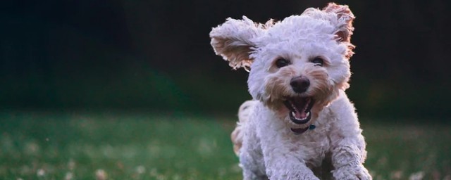 这些方法可以试试(各种方法都试了)