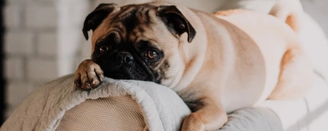 告诉你这些方法(这些方法)