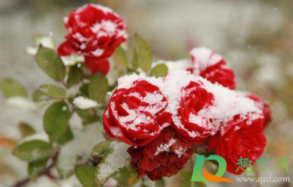 2022年几月几日开春(2022年几月几日几时立春) 2022年几月几日开春(2022年几月几日几时立春)