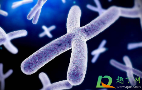 2022年怀孕生男生女表清宫图(2022年清宫图生男生女表(正版)