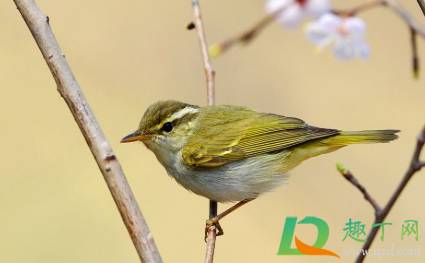 2022年几月几日开春(2022年几月几日几时立春)