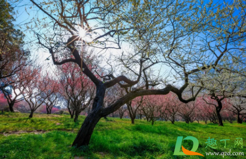 武汉12月份气温大概多少度(武汉十二月天气温度)