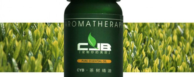 茶树精油去痘印的功效(茶树精油祛痘印的使用方法)