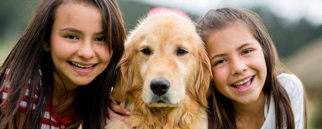 形容高兴的句子(形容高兴的句子夸张)