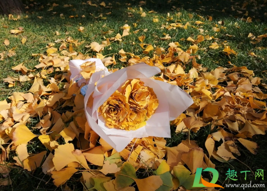 银杏玫瑰花怎么做(银杏玫瑰花束怎么做)