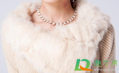 兔毛领可以水洗吗(兔毛毛领怎么洗) 兔毛领可以水洗吗(兔毛毛领怎么洗)