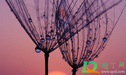 说说心情短语人生感悟2021(说说心情短语人生感悟2021年6月21日)