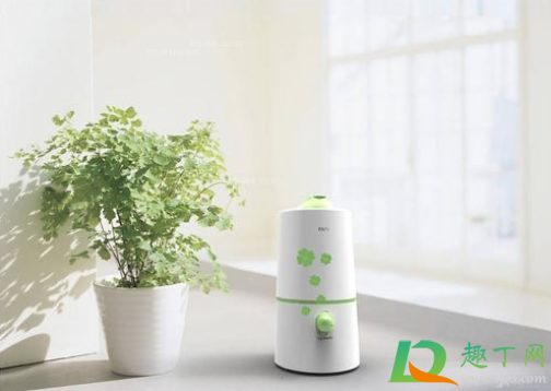 加湿器的水需要天天换吗(加湿器需要每年换吗)