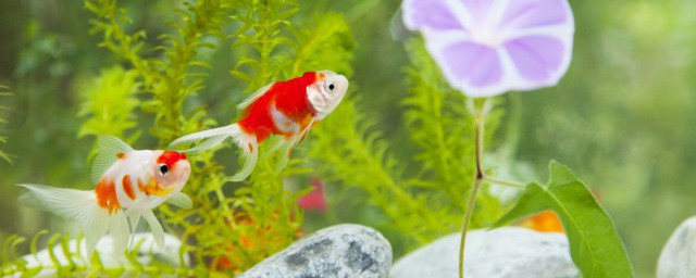 看完下面的介绍您就一清二楚了