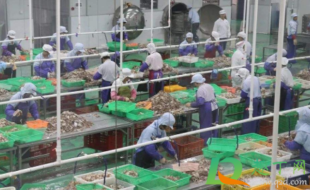 冷链食品怎么消毒(冷链食品如何消毒)