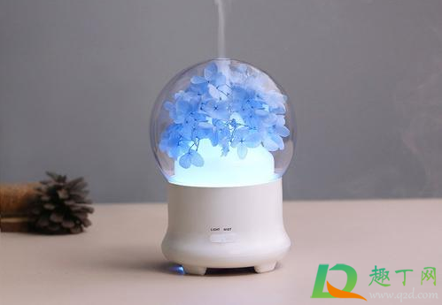 加湿器是对着自己吹的好还是冲上吹的好(加湿器往哪个方向吹) 加湿器是对着自己吹的好还是冲上吹的好(加湿器往哪个方向吹)