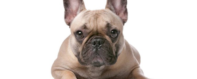 需要准备什么助产工具吗(助产需要做什么)