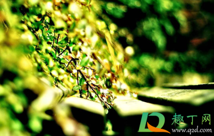 看淡一切释然的说说短句2021(放手看淡一切的说说)