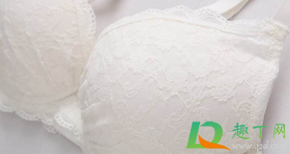 内衣罩杯面料用什么比较好(内衣罩杯填充物什么材质好)