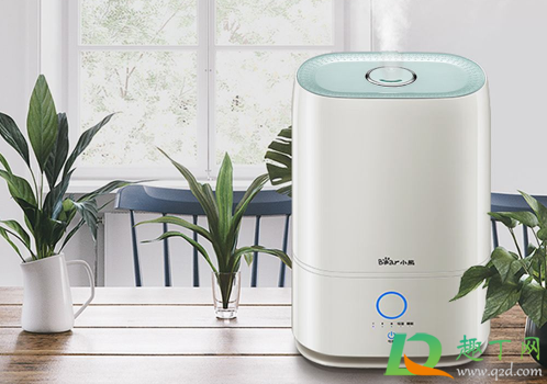 加湿器可以加开水吗(加湿器加开水可以用吗) 加湿器可以加开水吗(加湿器加开水可以用吗)