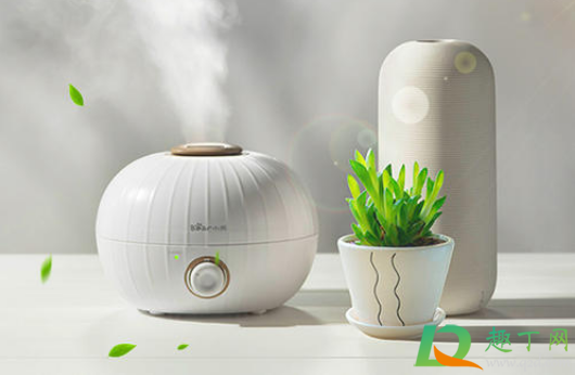 加湿器可以加开水吗(加湿器加开水可以用吗) 加湿器可以加开水吗(加湿器加开水可以用吗)