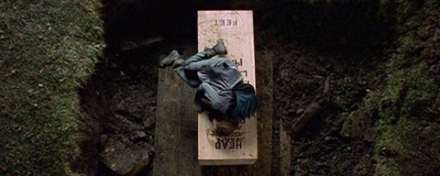 五句经典中英台词(中英文经典台词)