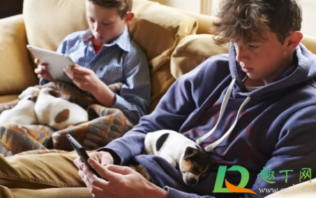 春运买票手机快还是电脑快(12306抢票手机快还是电脑快)