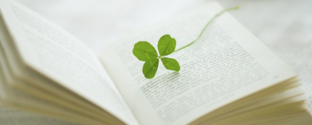 这些句子可以记下来(记得句子怎么写)