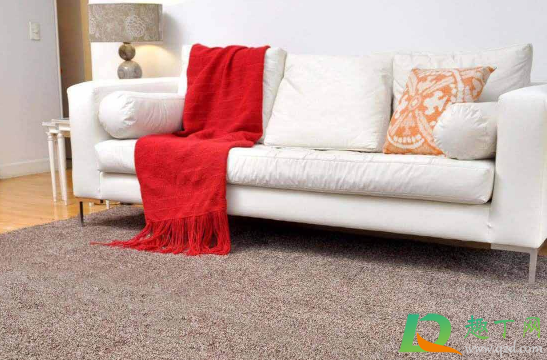 咖啡弄到地毯上能洗掉吗 咖啡弄到地毯上能洗掉吗