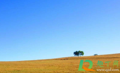 失望心凉的说说一句话精选(失望了 心凉了说说)