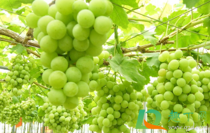 2021年有没有开春(2021年明年有春吗) 2021年有没有开春(2021年明年有春吗)