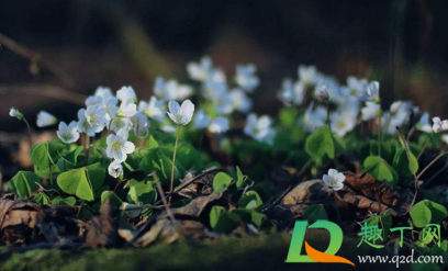 心累的句子说说心情2021(心累的句子说说心情 身心疲惫)