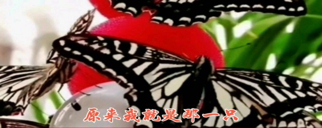 和弦 这首歌的演唱者是他