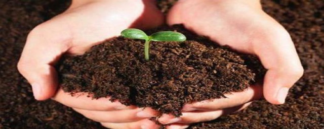 制作肥料方法(自制肥料的做法和配方)