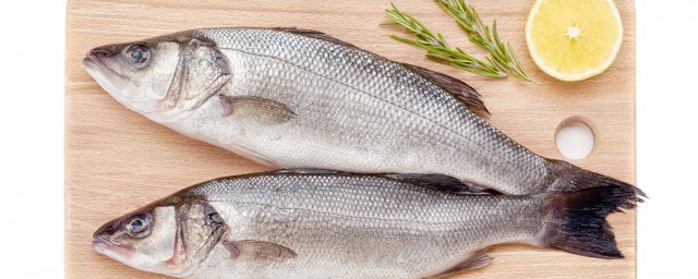 熟知这些技巧快速钓鱼不是梦(钓鱼的技巧怎样可以更快钓到鱼)